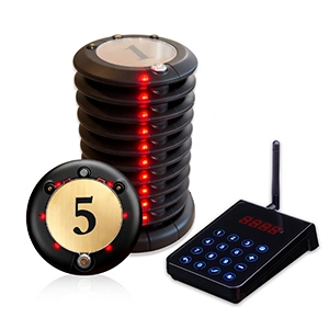 Guest Paging System